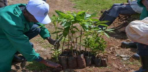 Community Engagement